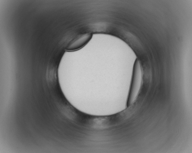 X0000111130172200908111046