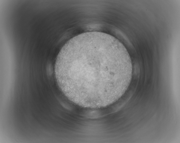 X0000111130173200908111046