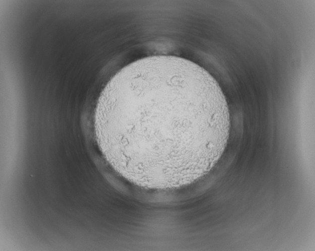 X0000111130177200908111046