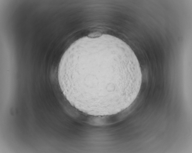 X0000111130178200908111046