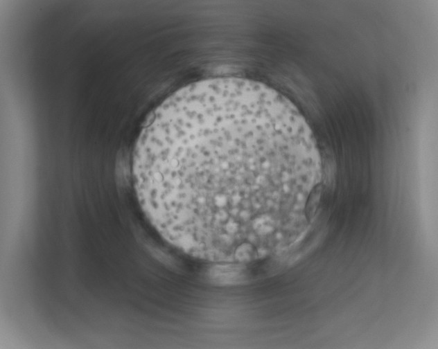 X0000111130179200908111046