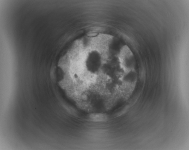 X0000111130181200908111046