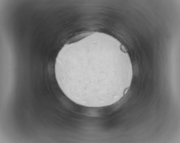 X0000111130182200908111046