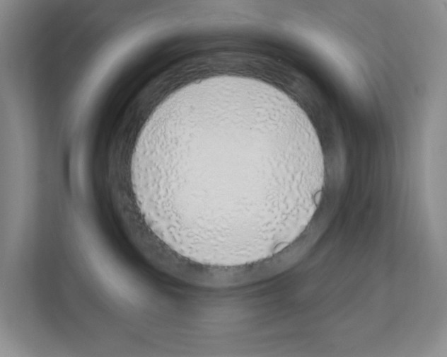 X0000111130189200908111046