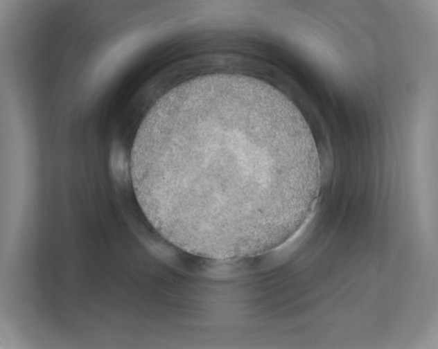 X0000111130191200908111046