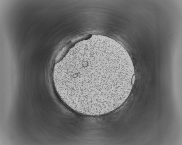 X0000111130193200908111046