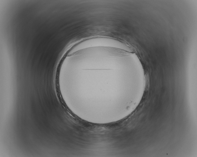 X0000111130195200908111046