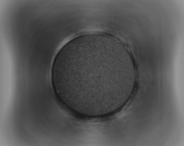 X0000111130196200908111046