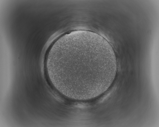 X0000111130199200908111046