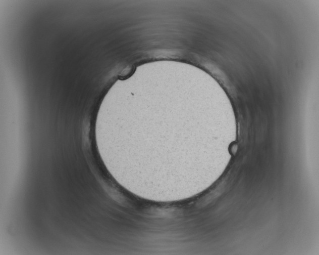 X0000111130201200908111045