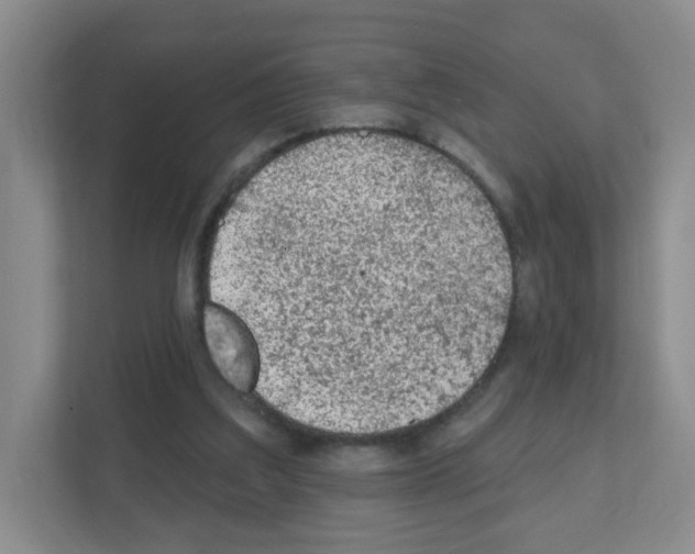 X0000111130203200908111045