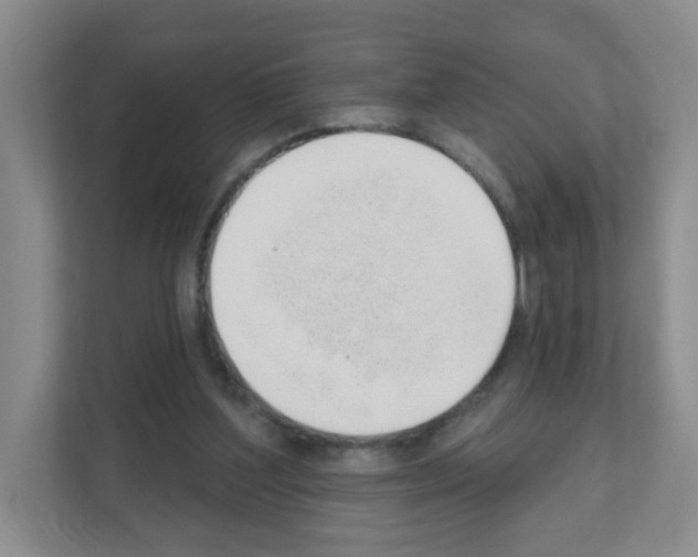 X0000111130204200908111045