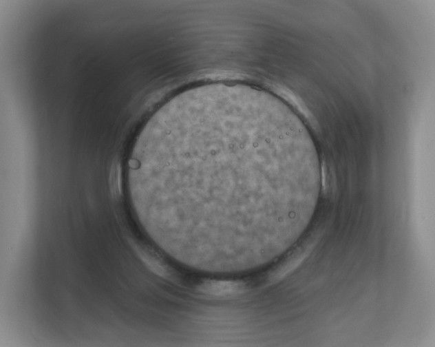 X0000111130205200908111045