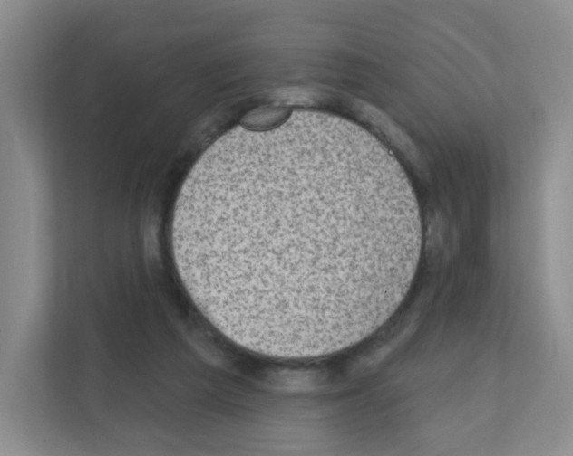 X0000111130209200908111045