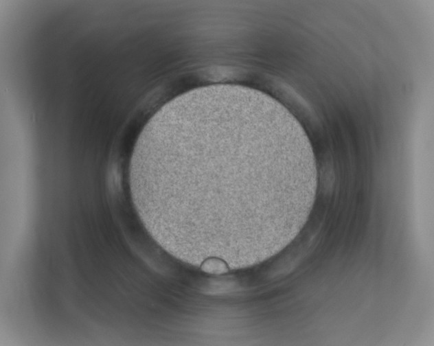 X0000111130214200908111045