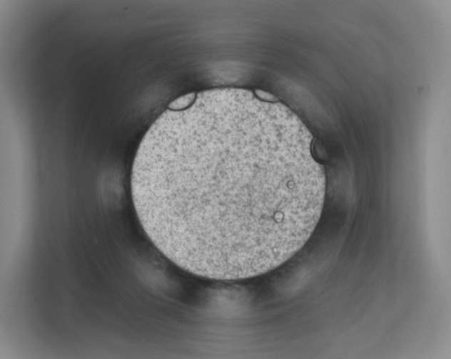 X0000111130215200908111045