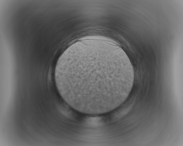 X0000111130217200908111045