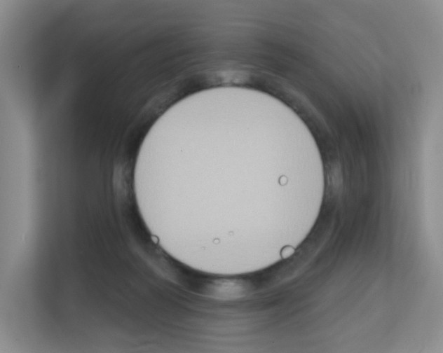 X0000111130218200908111045