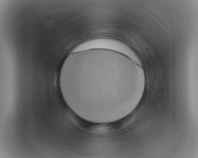 X0000111130219200908111045