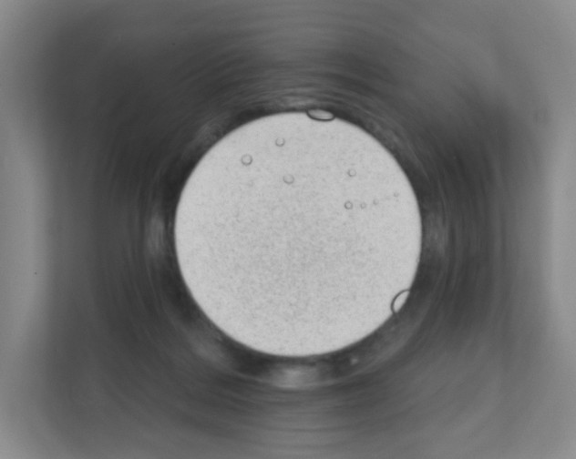 X0000111130220200908111045