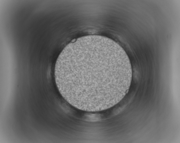 X0000111130221200908111045