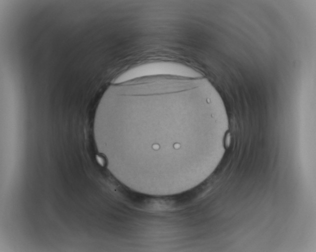 X0000111130223200908111045