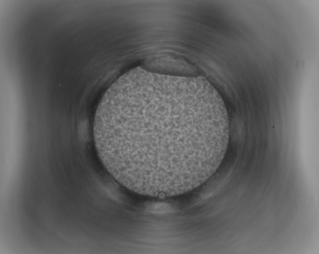 X0000111130224200908111045
