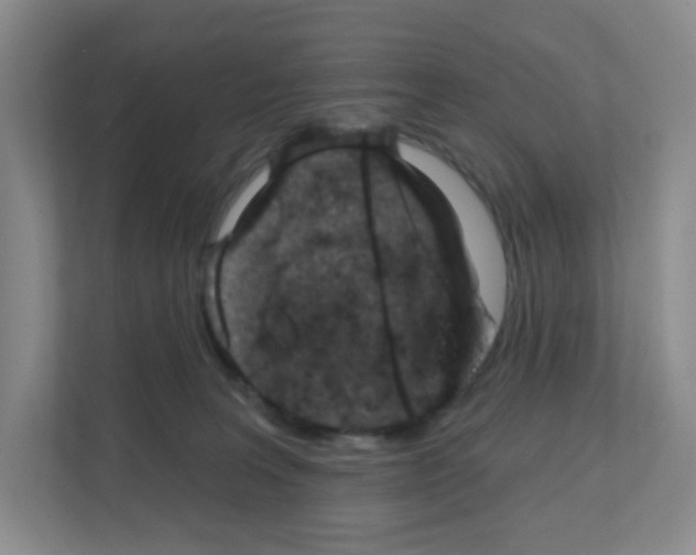X0000111130227200908111045