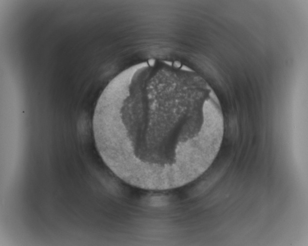 X0000111130228200908111045