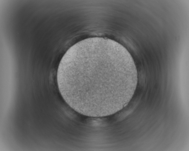 X0000111130229200908111045