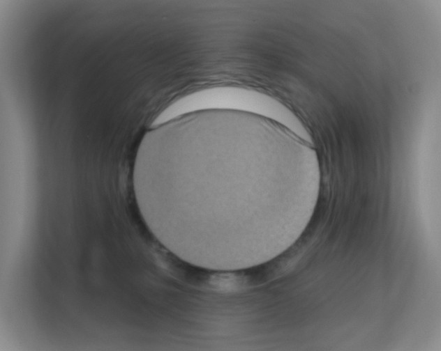 X0000111130231200908111045