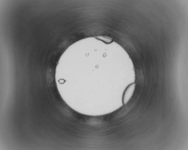 X0000111130232200908111045