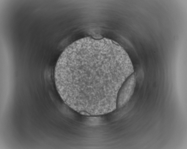 X0000111130233200908111045