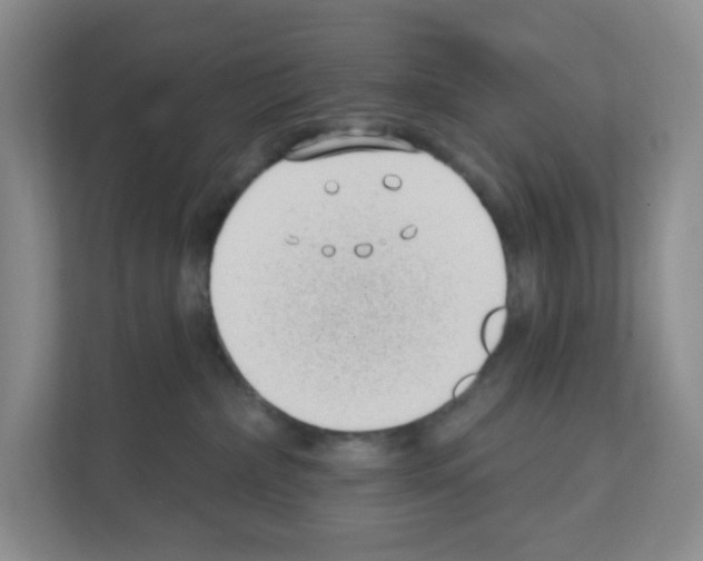 X0000111130236200908111045