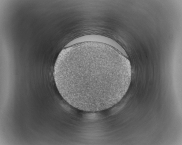 X0000111130237200908111045