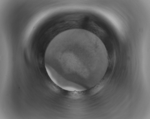 X0000111130239200908111045