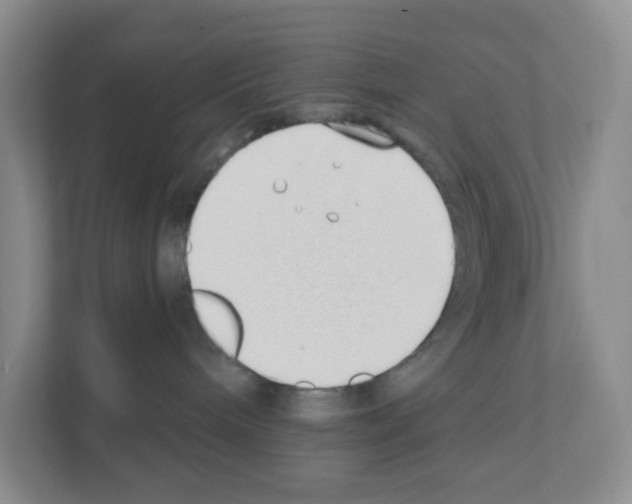 X0000111130240200908111045