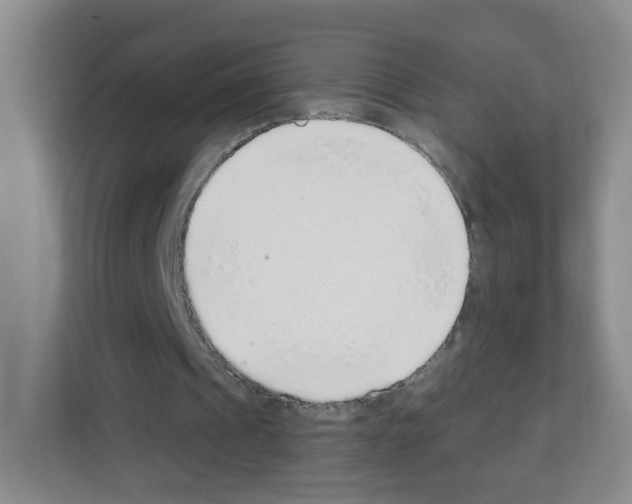 X0000111130241200908111044