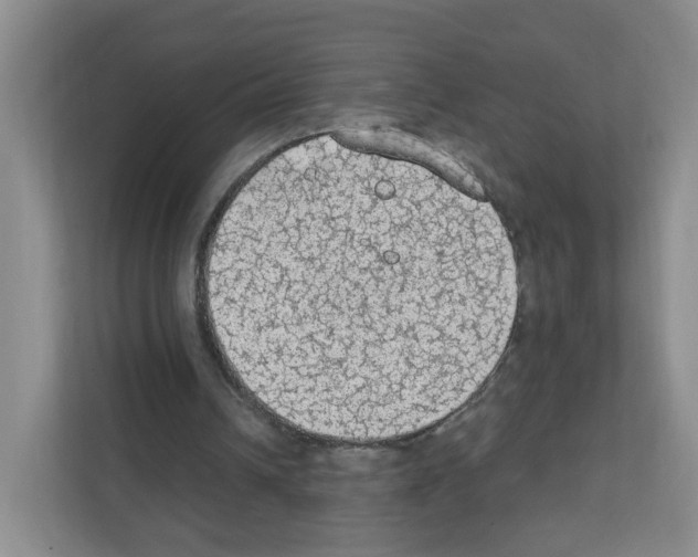 X0000111130242200908111044