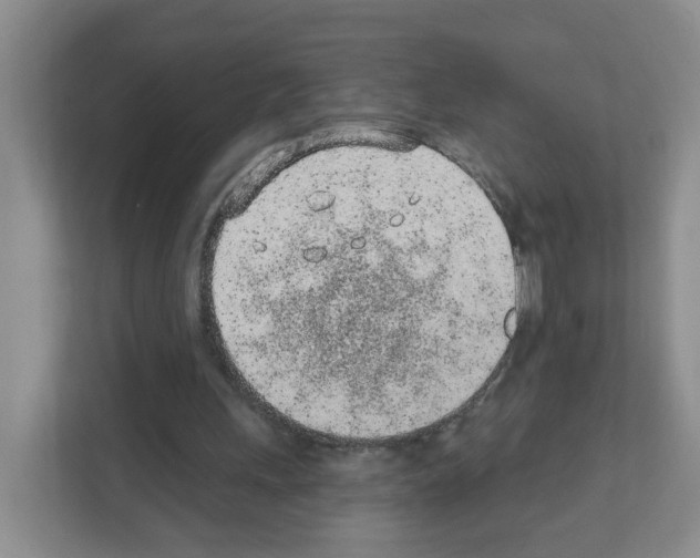 X0000111130243200908111044