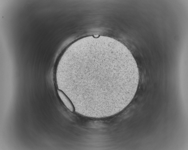 X0000111130244200908111044
