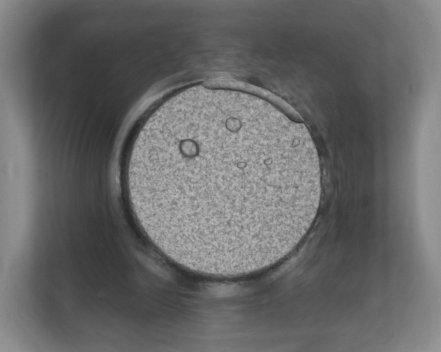 X0000111130246200908111044