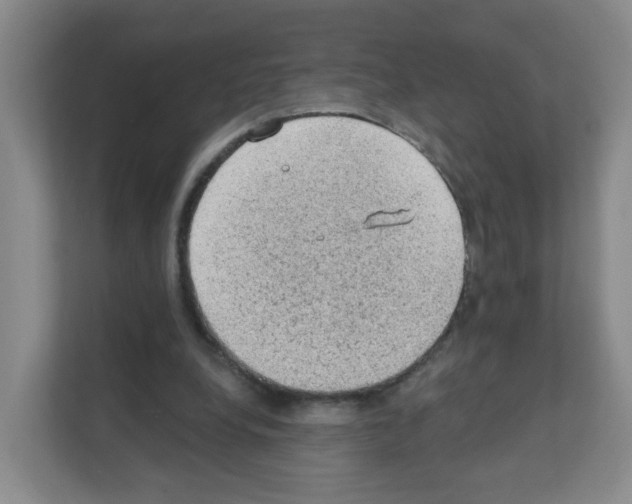 X0000111130248200908111044