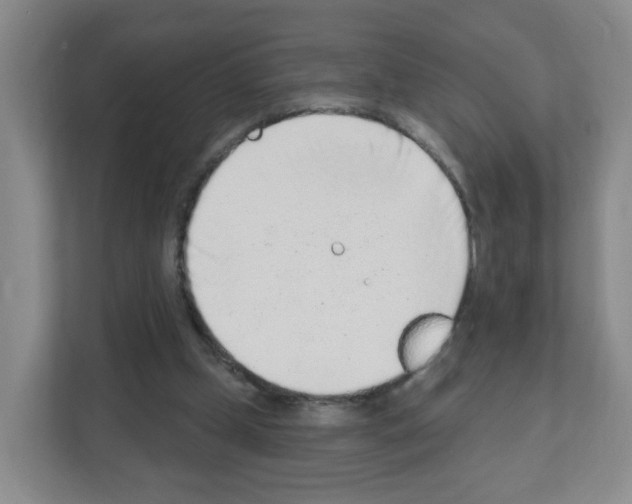 X0000111130249200908111044