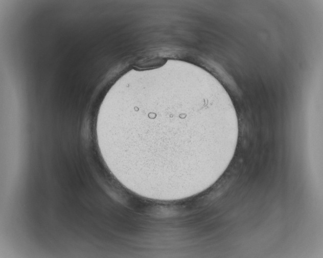X0000111130250200908111044