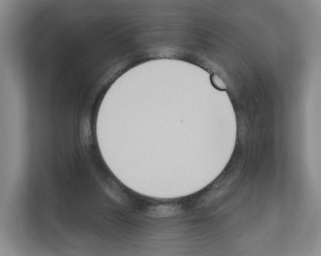X0000111130251200908111044