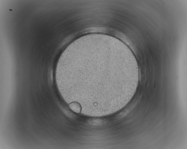 X0000111130253200908111045