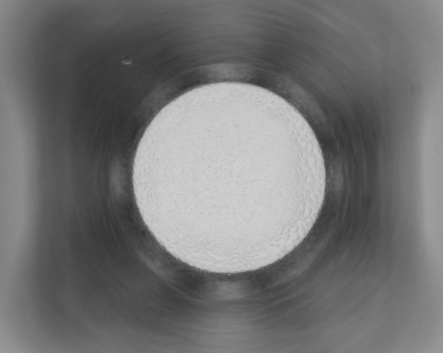 X0000111130255200908111045