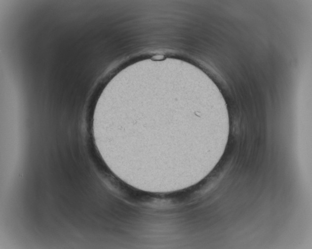 X0000111130256200908111045