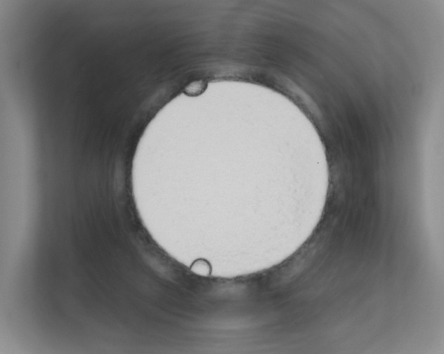 X0000111130257200908111045
